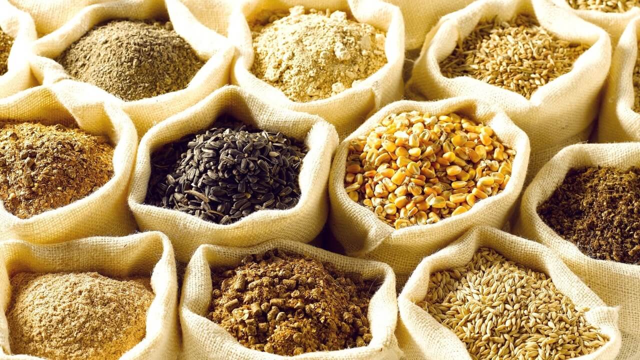 No%201%20premium%20agro commodities%20supplier%20in%20%20West%20Africa